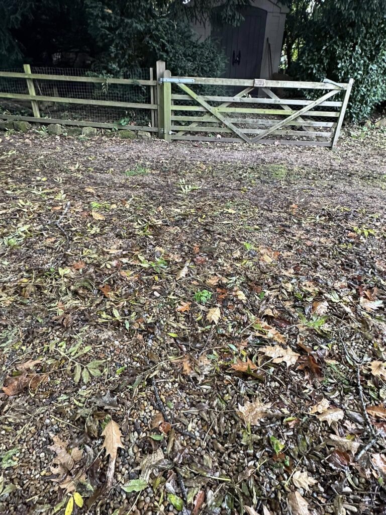 Driveway prior to the work by dig and shift in Willaston