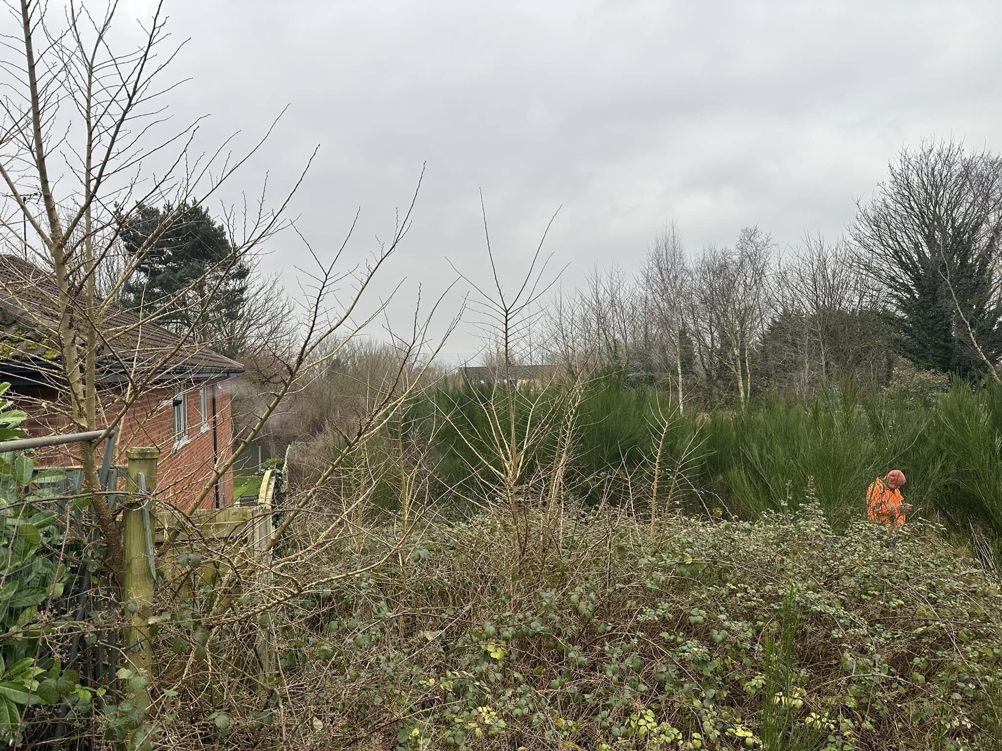 Site in Lower Heswall prior to our Groundworks Site Clearance Service.